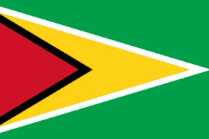 bandiera del Guyana