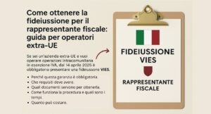 infografica per operatori vies